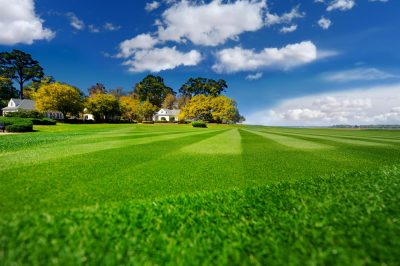 lawn care in winnipeg