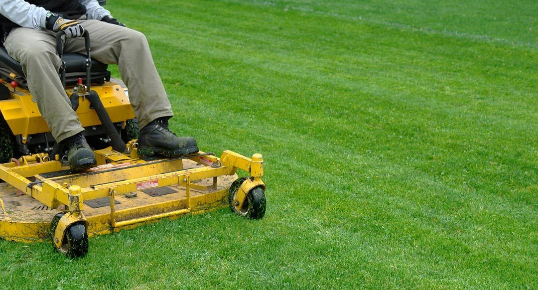 Optimal Timing for Concluding Lawn Mowing Before Winter Frost Sets In
