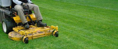 lawn mowing