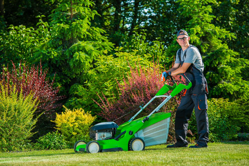 Pros & Cons of DIYing Lawn Aeration vs Hiring A Professional