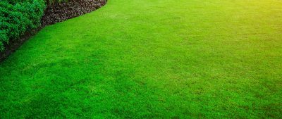 LAWN CARE SERVICES IN WINNIPEG MB HOME LAWN