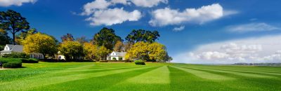 Lawn Care