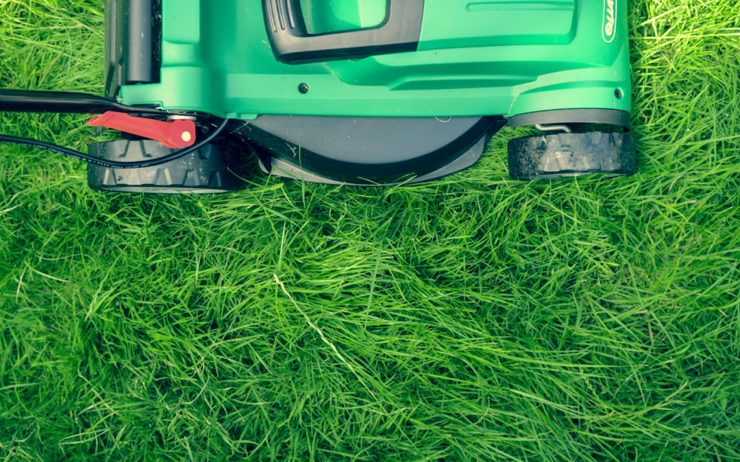 How often should you Mow your Lawn?